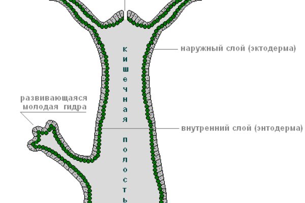 Kraken пользователь не найден при входе