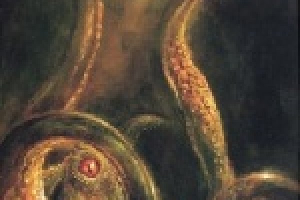Kraken link